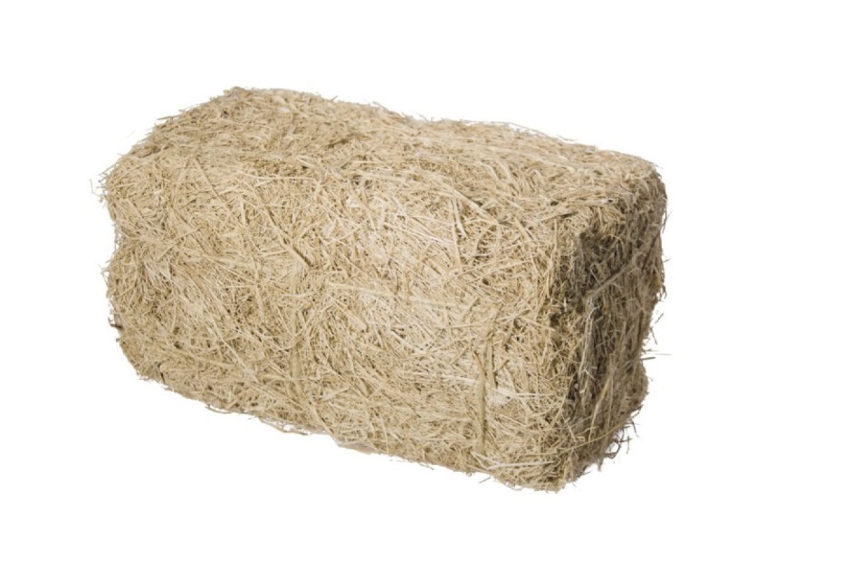 Höbal